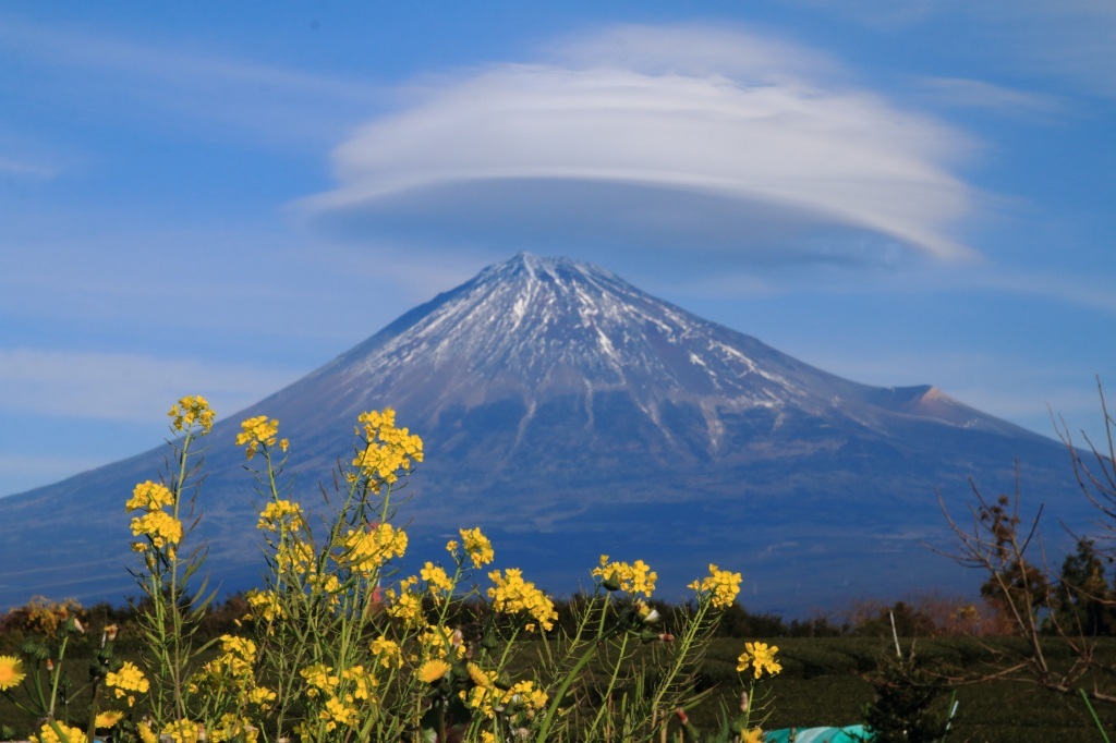 a0188405_22142970.jpg