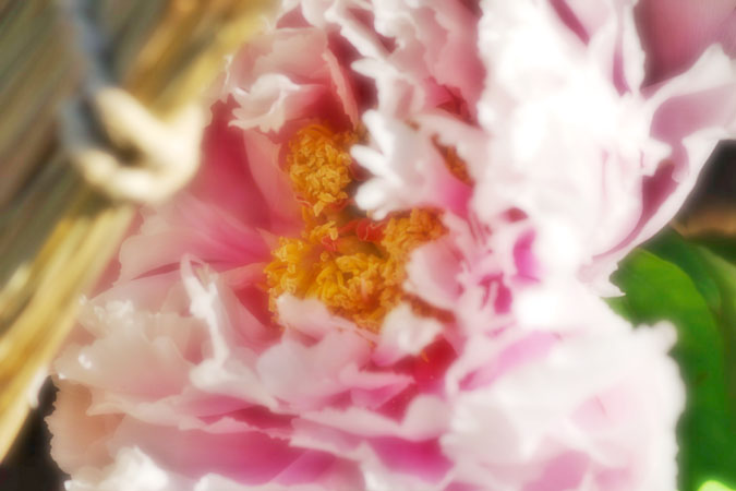a0263109_1105151.jpg