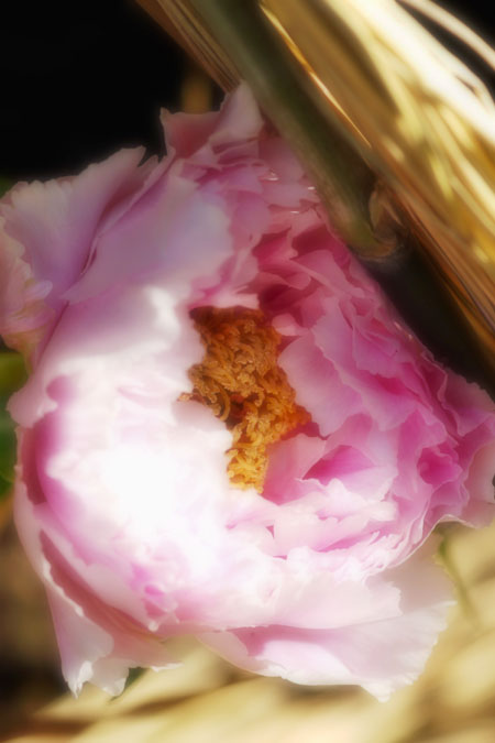a0263109_110539.jpg