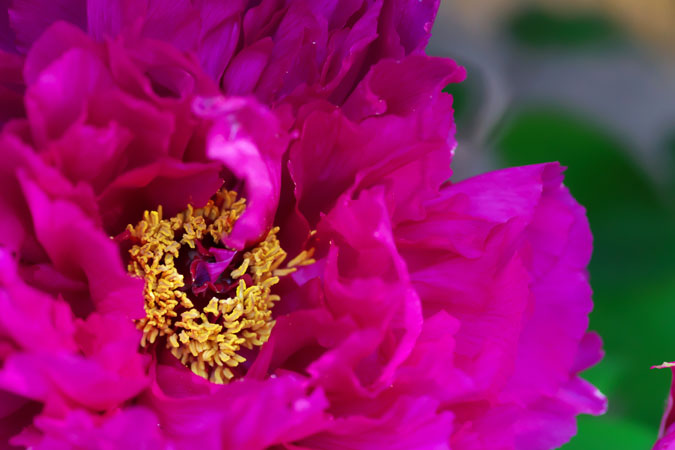 a0263109_111465.jpg