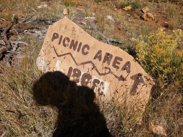 b0021211_1154463.jpg