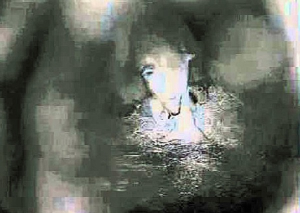 a0151913_2512638.jpg