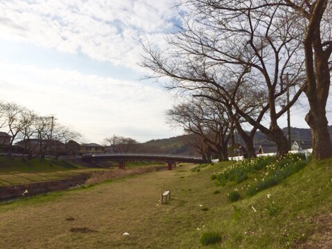 a0284626_23545481.jpg
