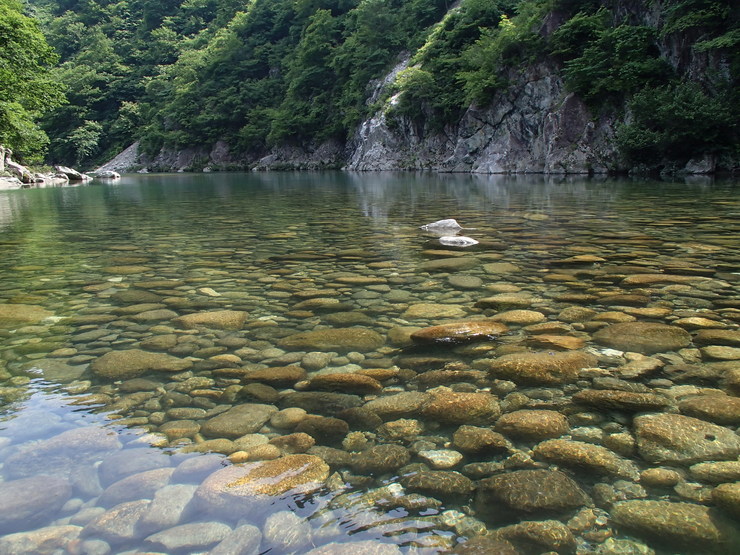 d0172227_7535084.jpg