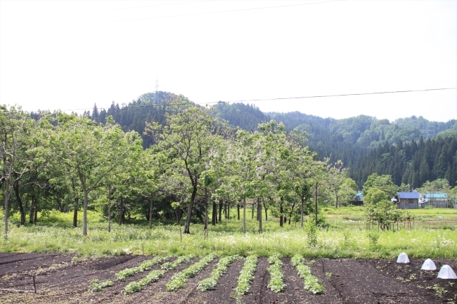 f0178427_22502788.jpg