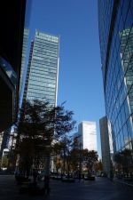e0080345_824387.jpg