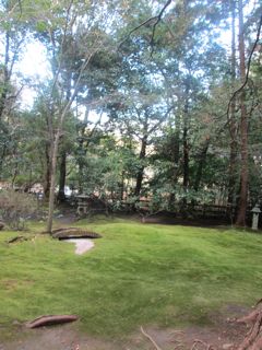 a0054948_21164461.jpg