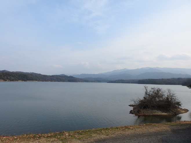 a0237349_1465048.jpg