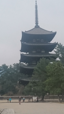 c0328559_232597.jpg