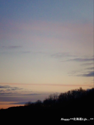 a0337860_23410025.jpeg