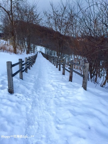 a0337860_23420839.jpeg