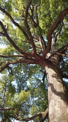 b0304662_20440939.jpg