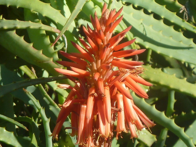 e0278968_21044654.jpg
