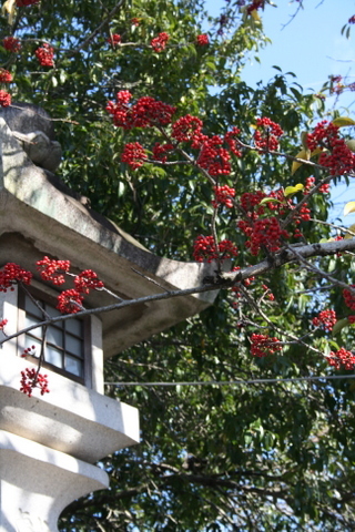 c0248269_10591318.jpg