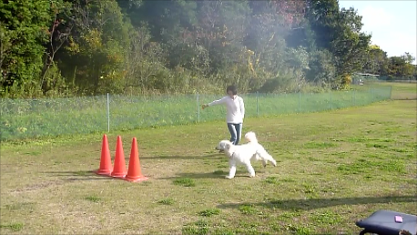 e0161972_14465538.png
