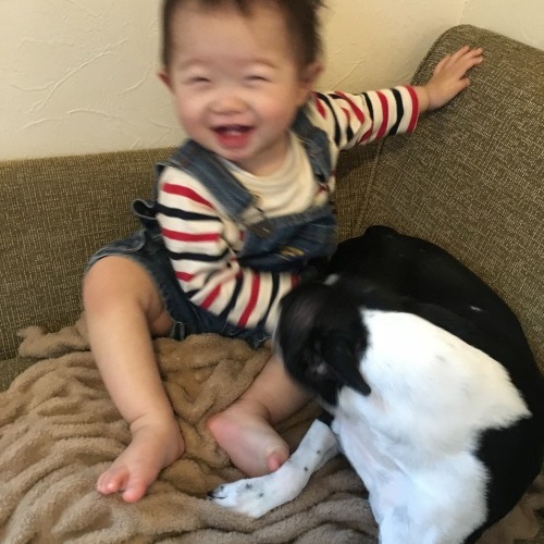 d0041575_21385954.jpeg