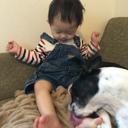 d0041575_21401845.jpeg