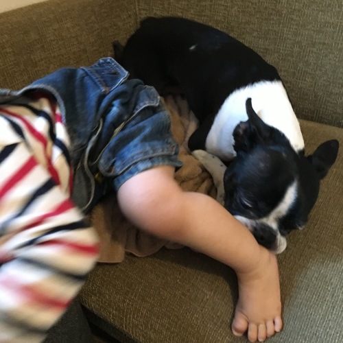 d0041575_21410776.jpeg