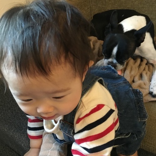 d0041575_21424097.jpeg