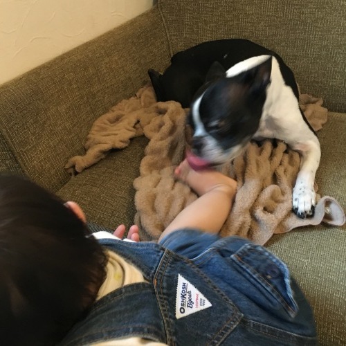 d0041575_21432812.jpeg