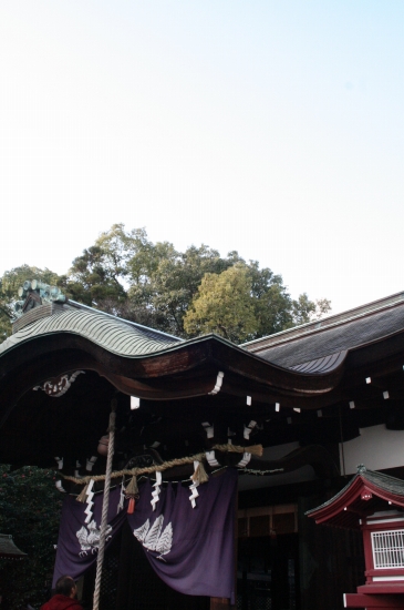 a0165483_21281944.jpg