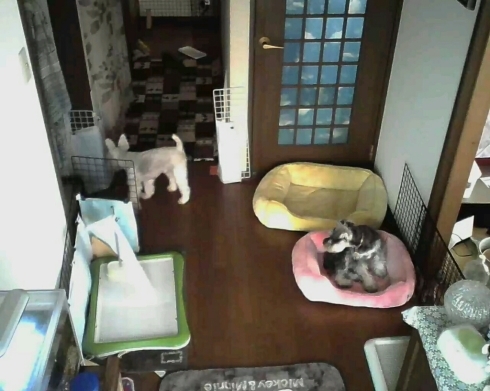c0348784_09464399.jpg