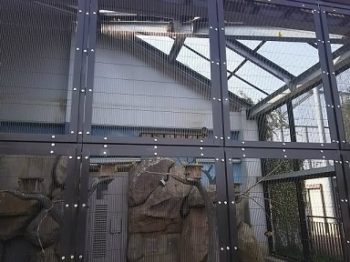 f0297893_1759475.jpg
