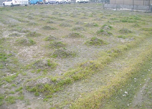 d0053294_12293181.jpg