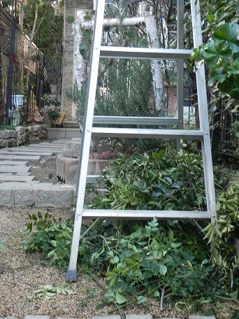 c0152002_15195126.jpg