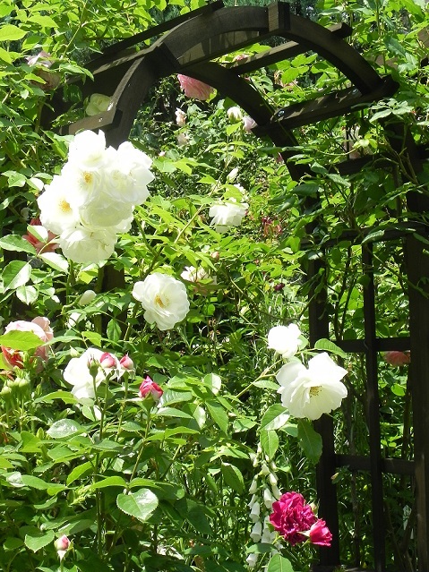 c0152002_15342241.jpg