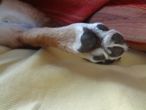 e0292102_1491262.jpg