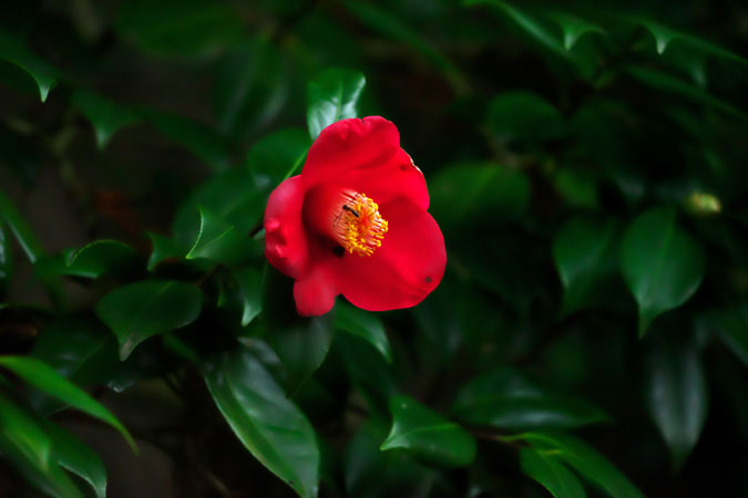 a0263109_15404688.jpg