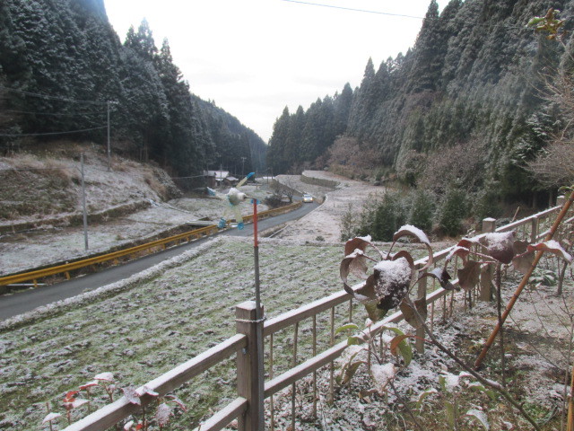 f0341616_16370431.jpg