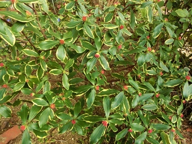 c0204121_14274669.jpg