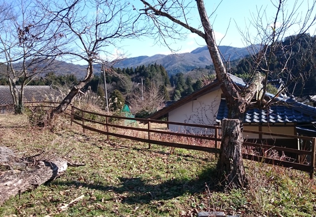 d0167621_21202241.jpg