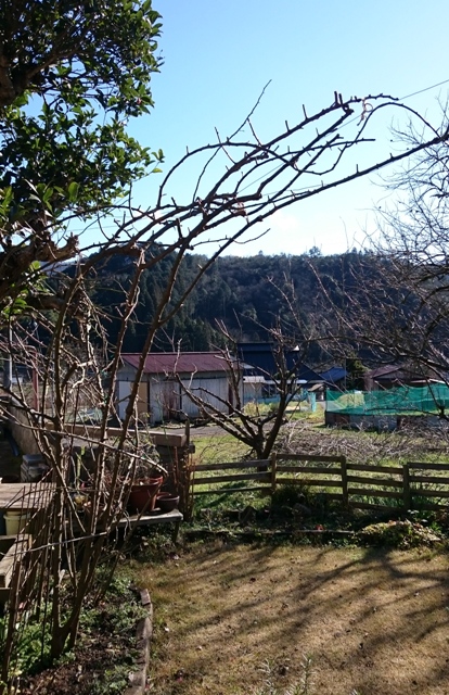d0167621_2184035.jpg