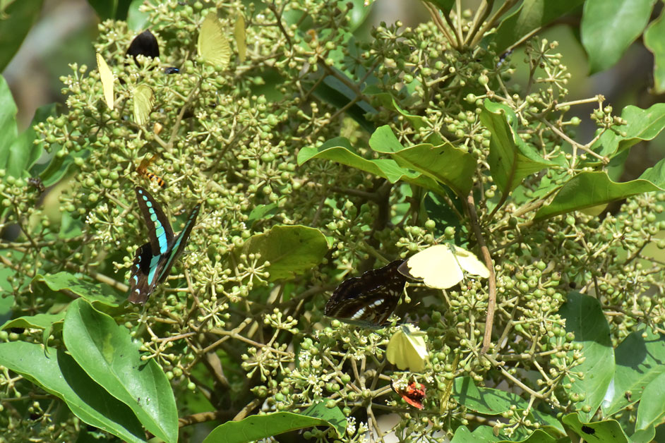 a0126632_2151599.jpg