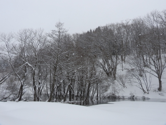 f0118332_00274624.jpg