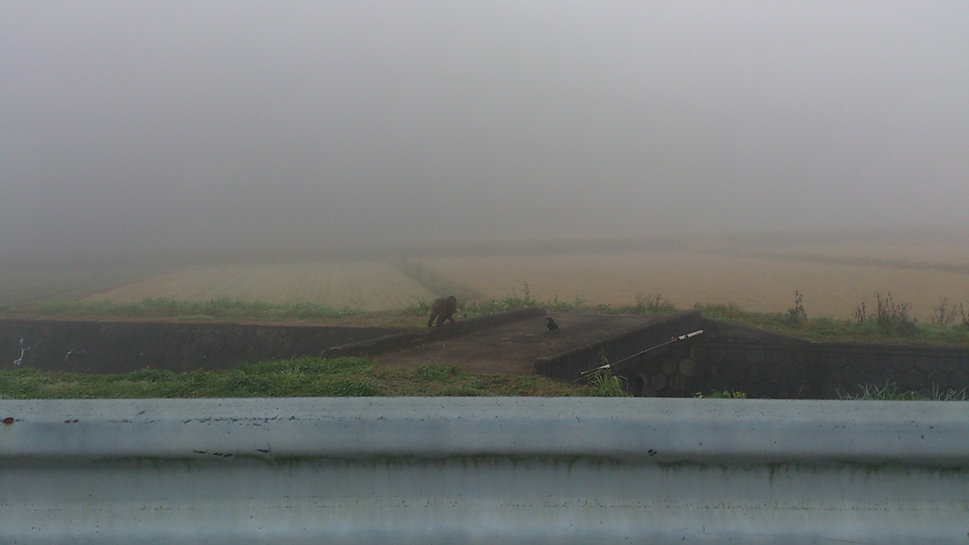 e0305733_651669.jpg