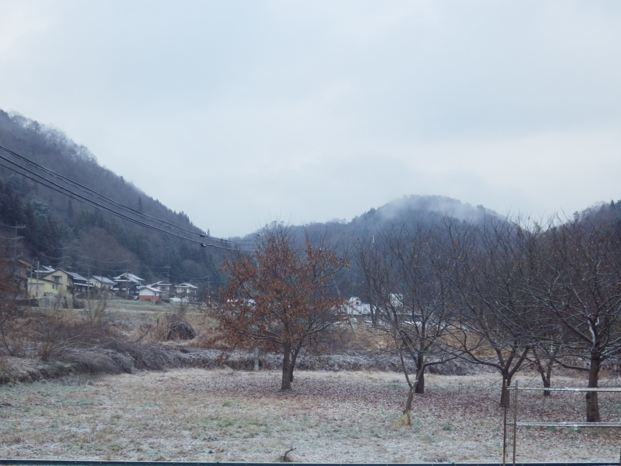 c0300035_975862.jpg