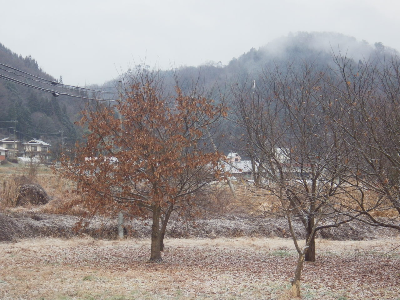 c0300035_981634.jpg
