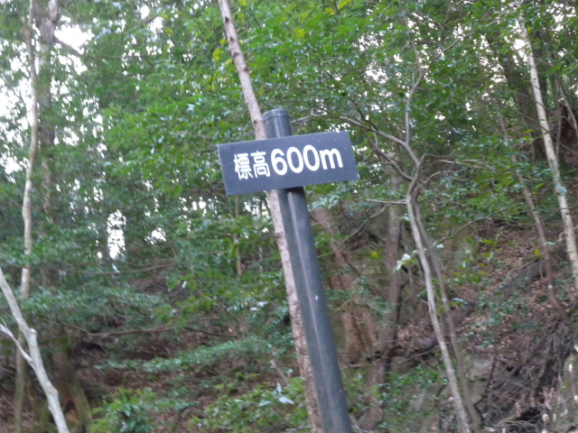 e0272335_21111320.jpg