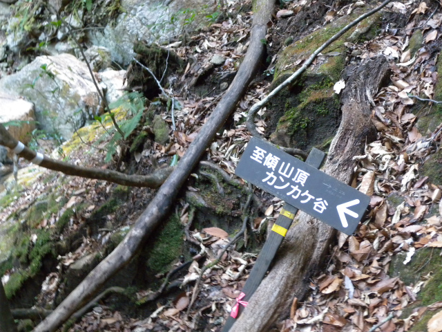 e0272335_21124065.jpg
