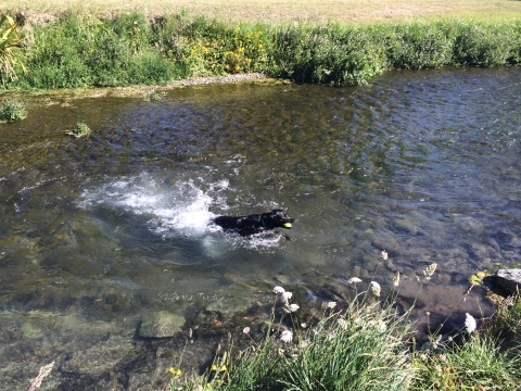 b0334436_06115858.jpg