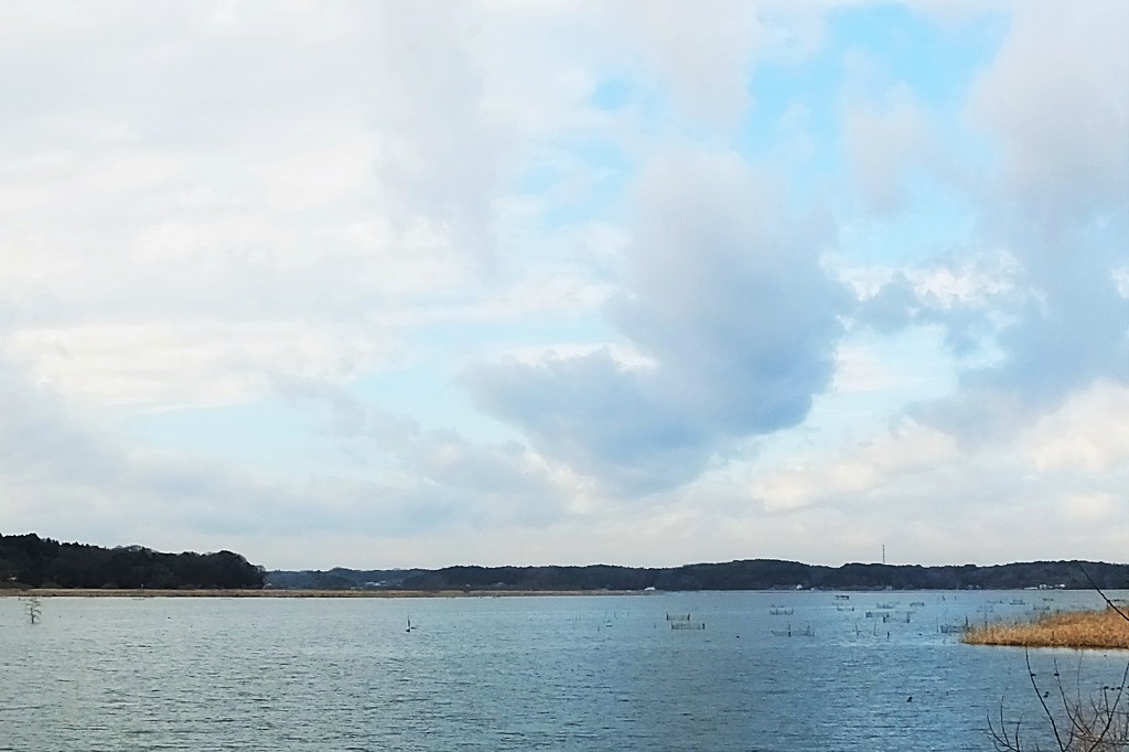 b0236251_11422669.jpg