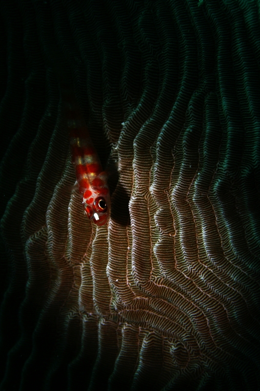 e0314451_17282617.jpg