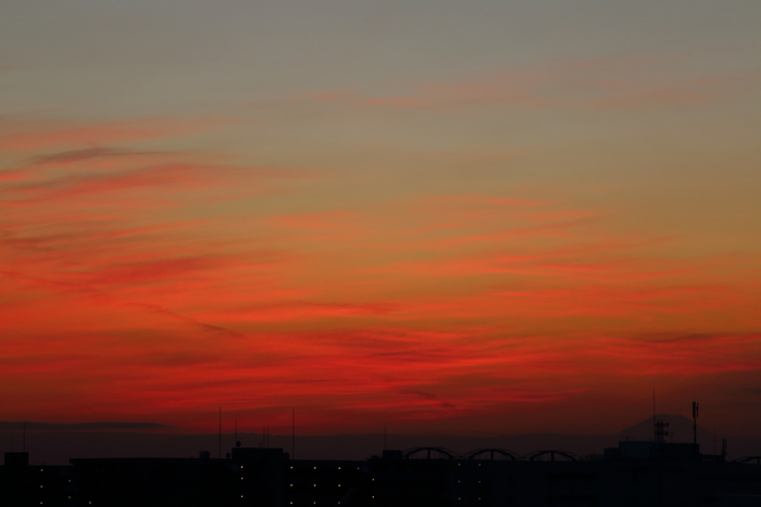 d0152261_1929291.jpg