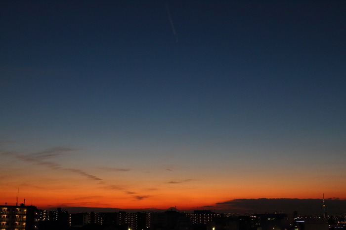 d0152261_19325514.jpg