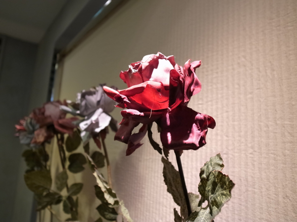 e0196261_22091012.jpg