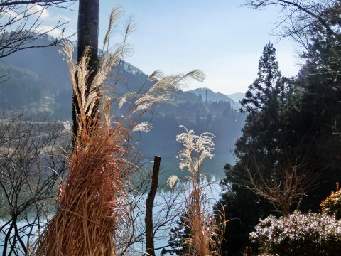 e0045768_21595815.jpg